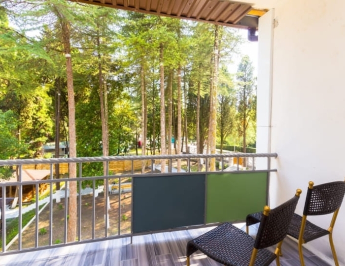 2-х местный однокомнатный «Стандарт» с балконом и доп. местом Корпус №1 - Отель «Родина» Новый Афон