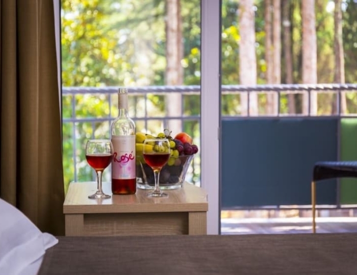 2-х местный 1-но комнатный «Стандарт» с балконом, вид на парк Корпус №1 - Отель «Родина» Новый Афон